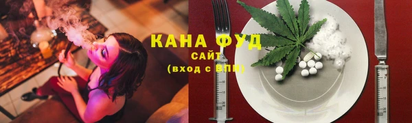 индика Балабаново