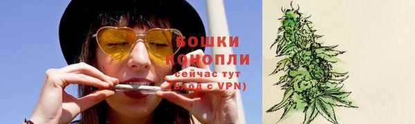 индика Балабаново
