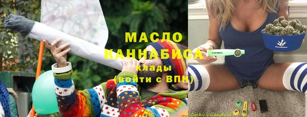индика Балабаново