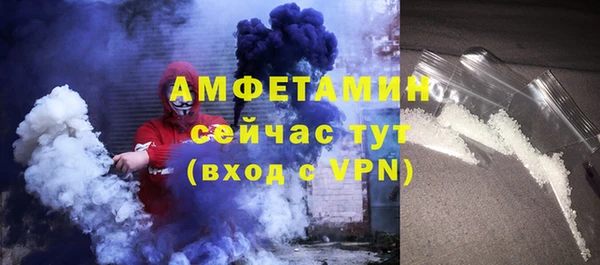 индика Балабаново